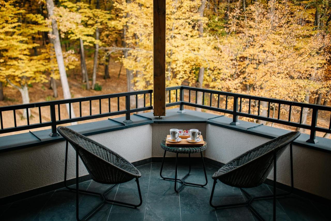 Panorama Boutique Hotel Sfântu-Gheorghe Buitenkant foto